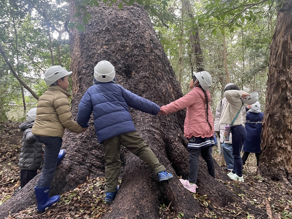 えびすの森 春休み子ども観察会