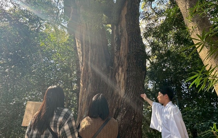 兵庫県の天然記念物「えびすの森」